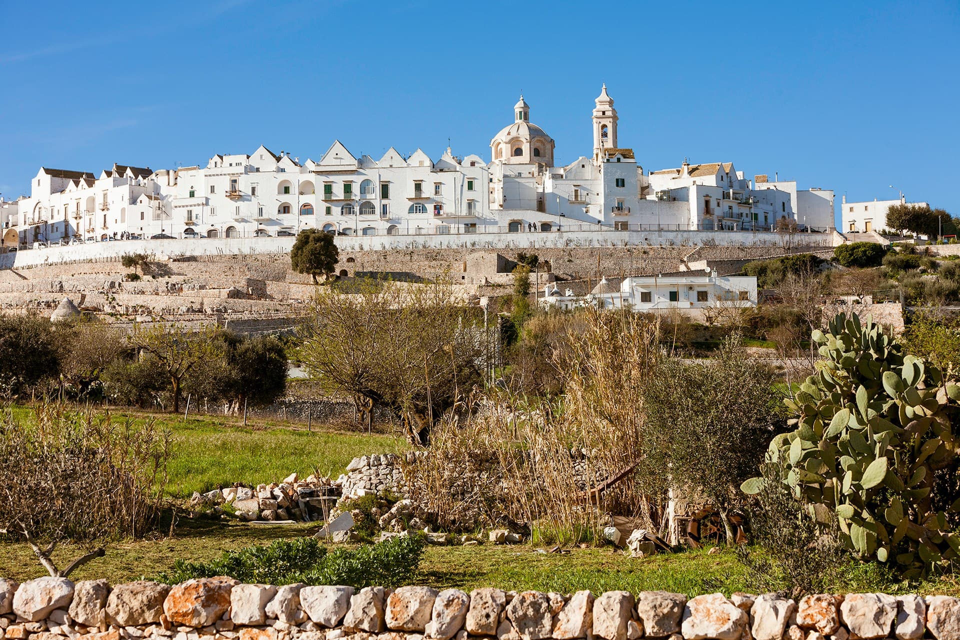 Locorotondo Travel Guide