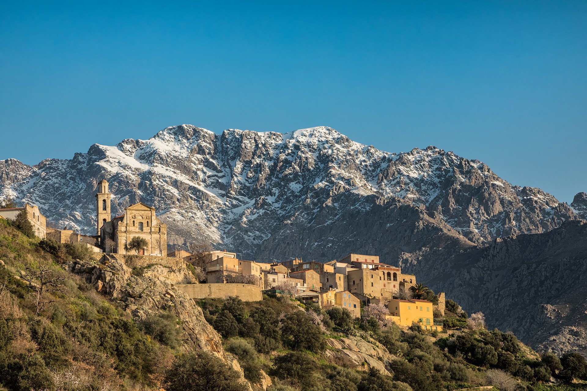 How do the French celebrate Christmas in Corsica?