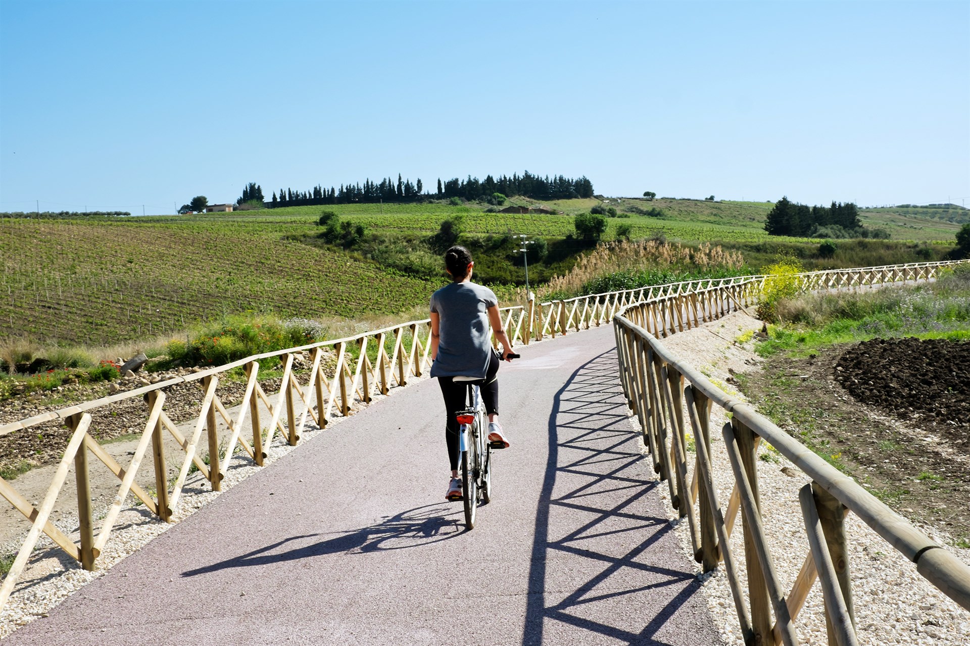 Bike rental