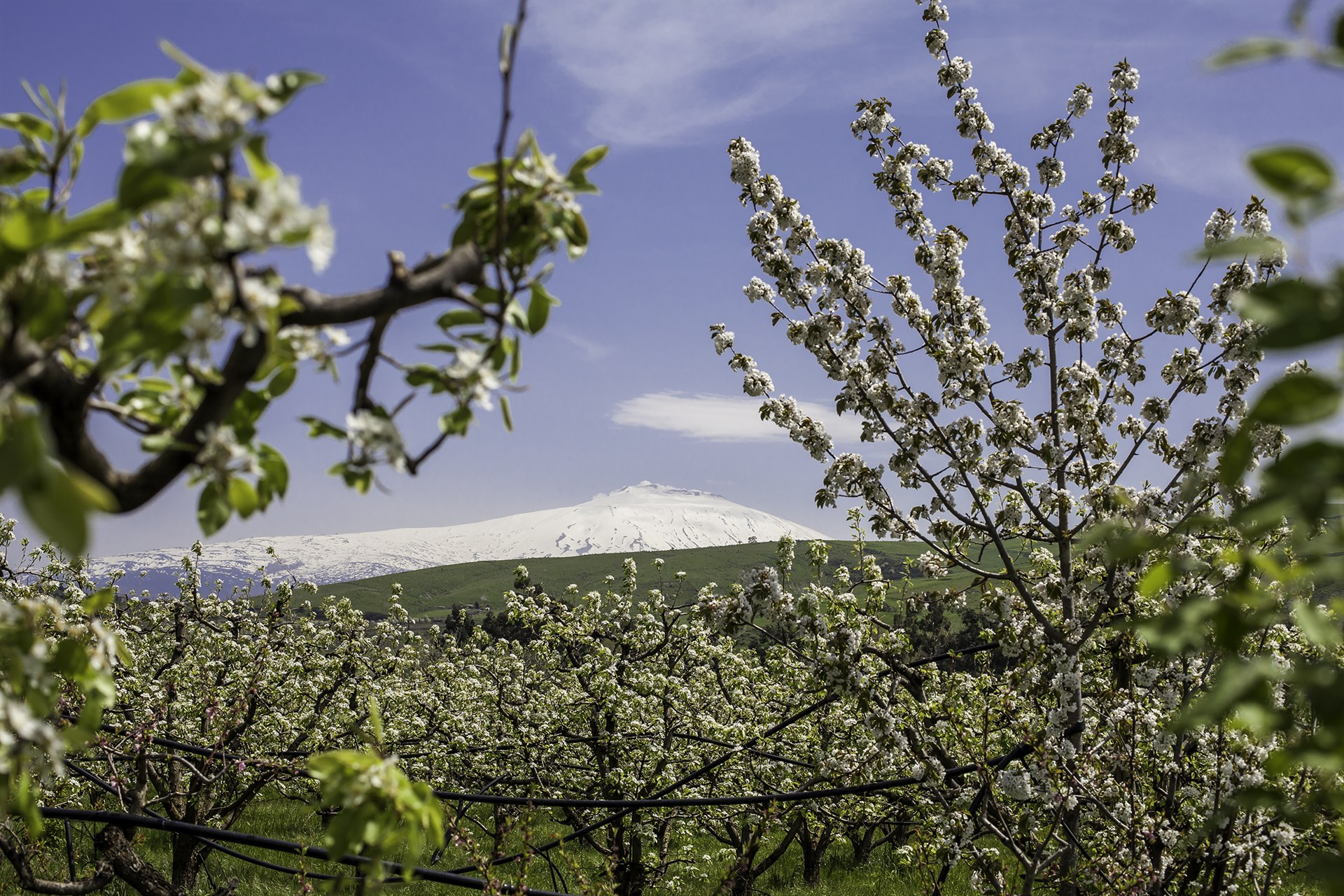 Discover Sicily’s stunning nature reserves and areas of natural beauty