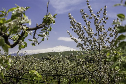 Discover Sicily’s stunning nature reserves and areas of natural beauty