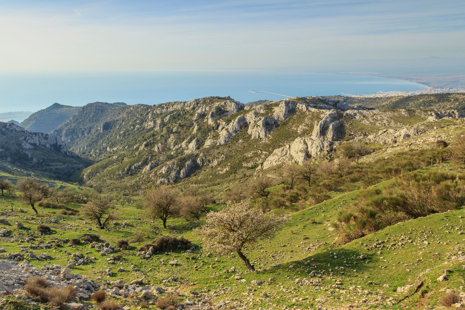 img:https://www.thethinkingtraveller.com/media/Blog%20Images/18%20FEB%202025/20%20best%20things%20to%20do%20in%20Puglia/Gargano_National_Park.jpg