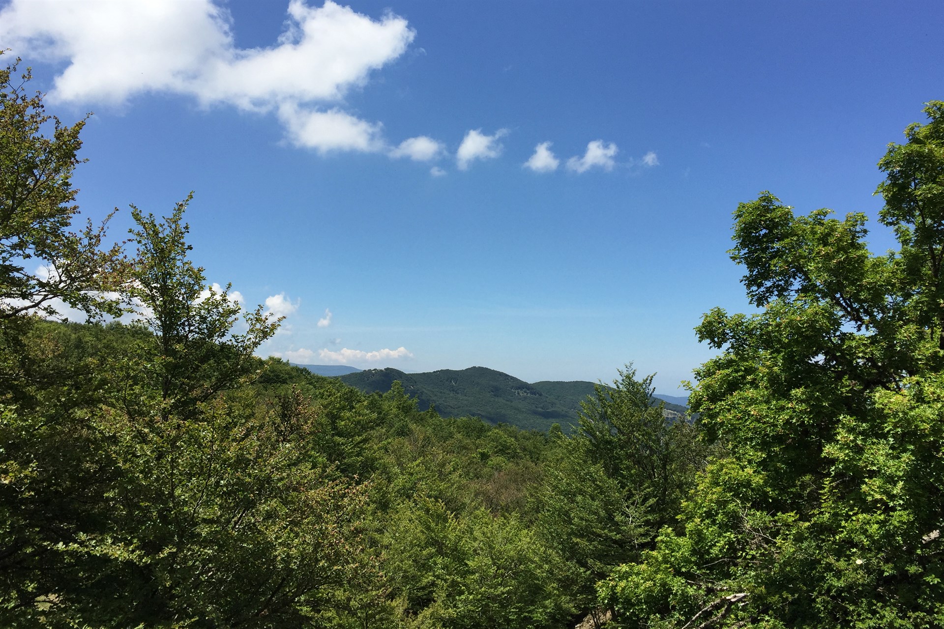 Nebrodi Mountains, Sicily | The Thinking Traveller