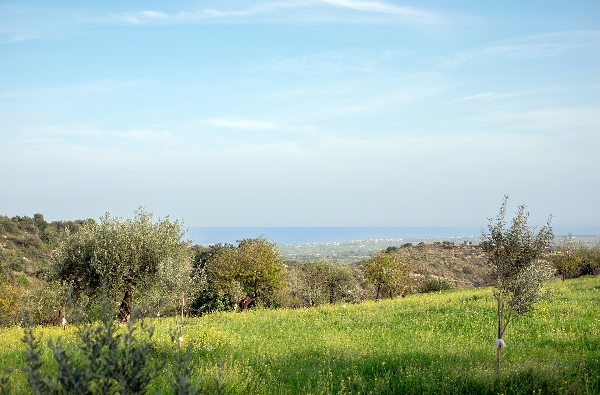 Agata, luxury villas in Sicily - The Thinking Traveller